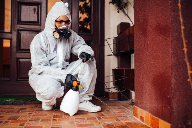 Reliable Ant Control contractor in Woodburn, VA by Nex Pest Control