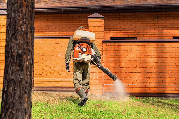 Trusted Ant Control service in Woodburn, VA - Nex Pest Control